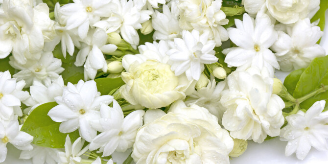 Givenchy представят L’Interdit Nocturnal Jasmine весной 2022 года