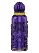 Iris Violet II