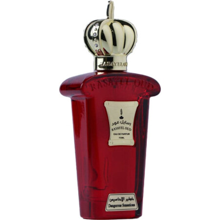 Rasayel Oud / رسايل عود Dangerous Sensations