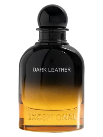 The Exceptional Dark Leather