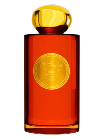 G. Inglese Odorata Ginestra