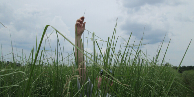 Дикий и благородный: Parfum d'Empire переосмысляют древесные ароматы