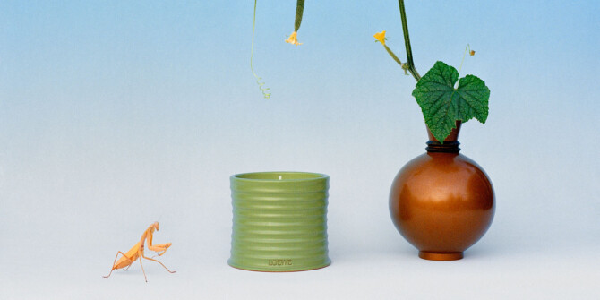 Огород на подоконнике: Loewe представил свечу с ароматом огурца