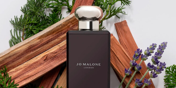 Jo Malone показали новый аромат Hinoki & Cedarwood Cologne Intense