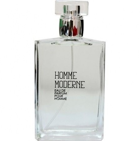 Arvea Homme Moderne