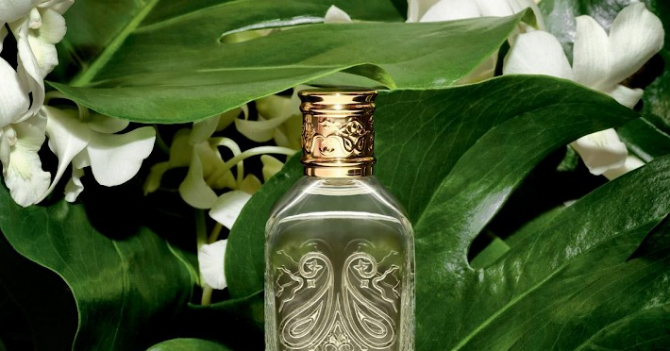 Etro украсили упаковку White Magnolia цветочным принтом