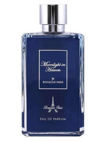 Bonjour Paris Moonlight in Heaven