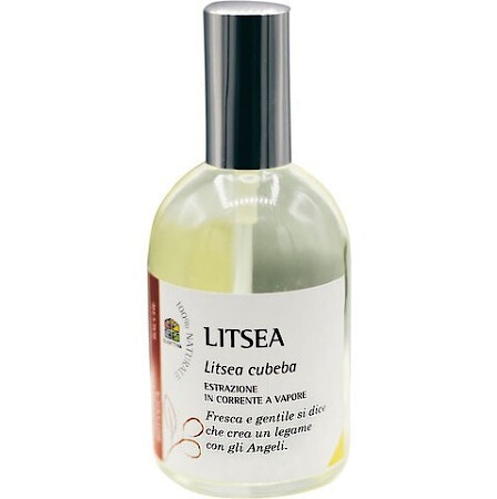 Olfattiva Litsea