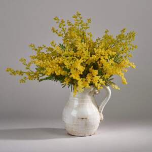 Ароматы с запахом мимозы