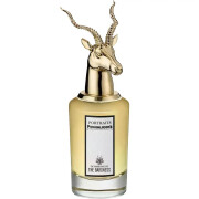The Manoeuvres of the Baroness