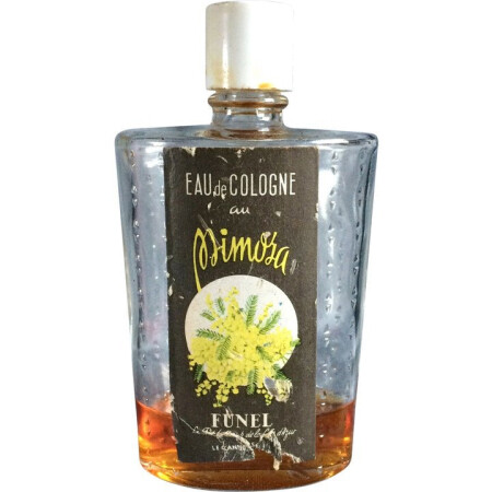 Funel Mimosa