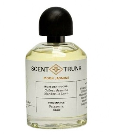 Scent Trunk Moon Jasmine