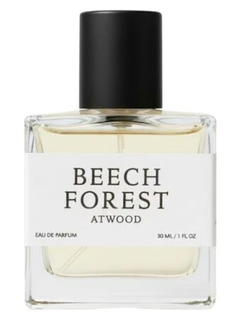 Atwood Beech Forest