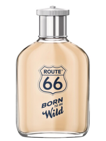 Route 66 Born To Be Wild