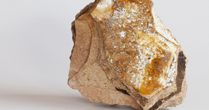 Как добывается и используется амбра