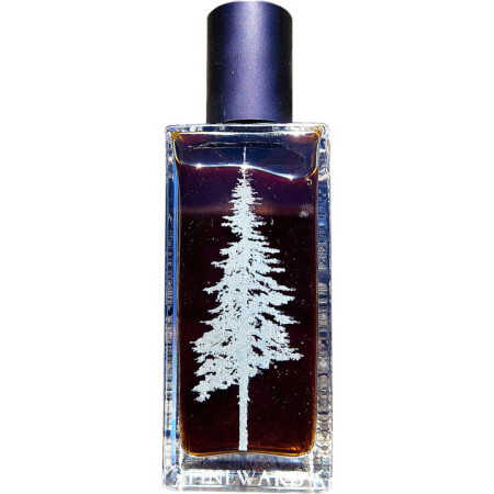 Pineward Perfumes Nocturnis