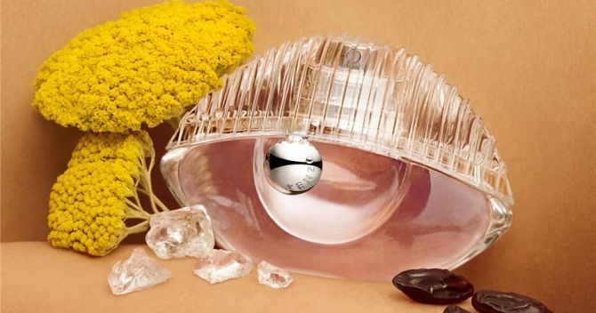 «Твоя история, твоя сила»: Kenzo выпустят фланкер World Power