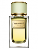 Dolce & Gabbana Velvet Pure