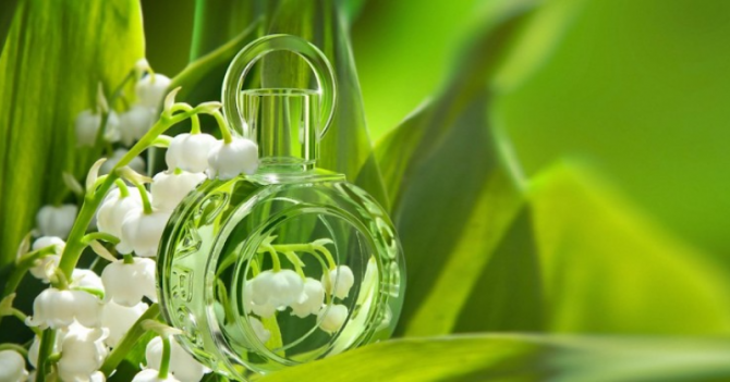 Caron перевыпустили аромат 1952 года — Muguet du Bonheur