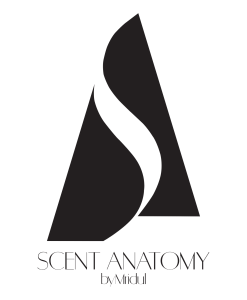 Scent Anatomy