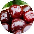 Черешня