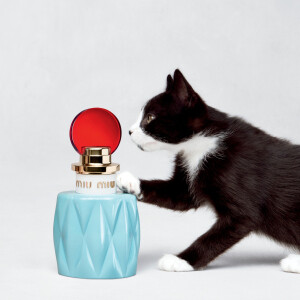 L'Oréal займутся производством парфюмерной и косметической продукции для Miu Miu