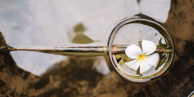 Montblanc объединили в новом Signature иланг-иланг, туберозу и франжипани