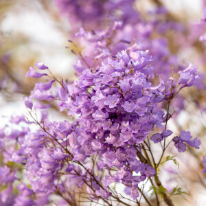 На карте Une Nuit Nomade две новых точки: Эль-Халуф и Йоханнесбург