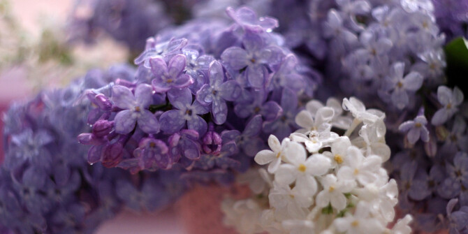 Сирень под дождем — в новом A Drop d'Issey Fraiche Issey Miyake