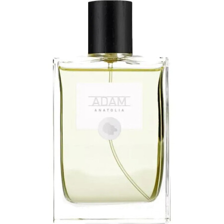 Adam Grooming Atelier Anatolia