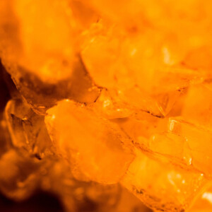 Il Profvmo посвятили Ambre Nocturne «одной ночи в пустыне»