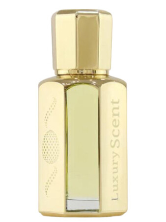 Luxury Scent Elegant Men