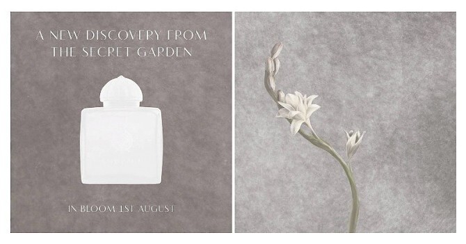 Тубероза в «Тайном саду»: Amouage пополняет коллекцию The Secret Garden