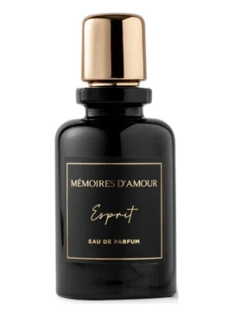 Mémoires D'amour Esprit