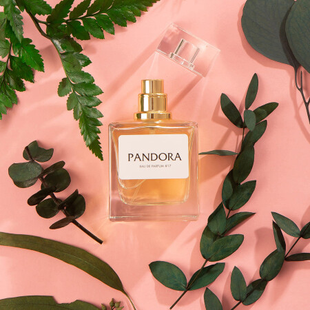 Pandora Pandora #17 туалетная вода для женщин — где купить, цены, отзывы и  описание аромата | энциклопедия духов Aromo