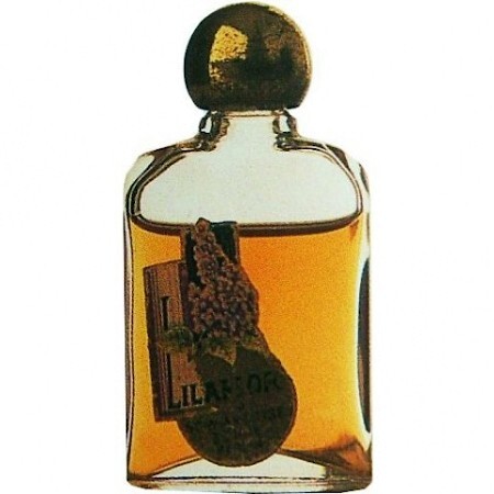 J.F. Schwarzlose Berlin Lilaflor