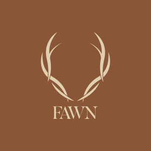 Fawn