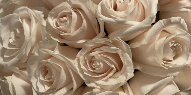 Цитрусы и живые цветы: освежающие ароматы для лета