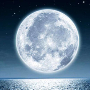 M.INT Moonglade. Лунная поляна.