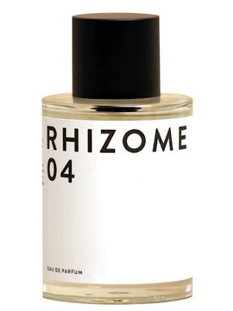 Rhizome Rhizome 04