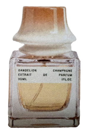 HB;RN Dandelion Champagne