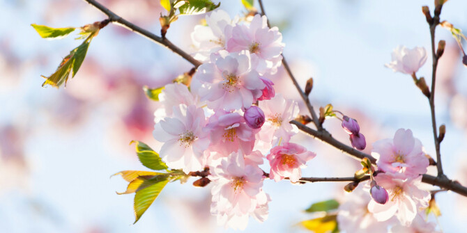 Windsor’s Soap показали весеннюю лимитированную коллекцию Super Nova