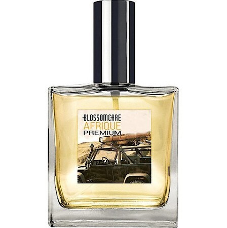 The Blossomcare Company Afrique