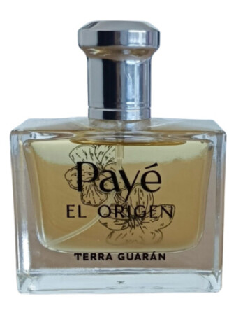 Terra Guarán Payè El Origen