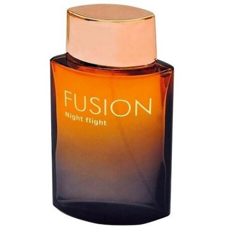 CFS Fusion Night Flight