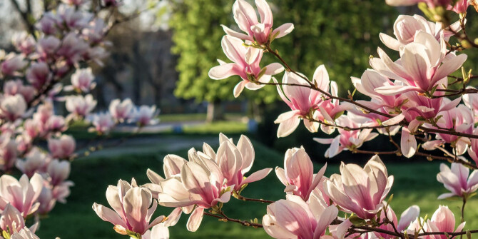 Juliette Has A Gun посвятили новый аромат магнолии
