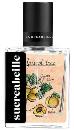 Sucreabeille Apricot Tree
