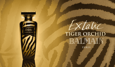 Balmain extatic best sale tiger orchid
