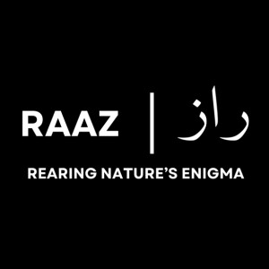 Raaz