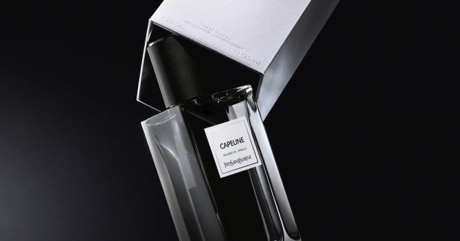 Магнолия, пайетки и лилия в кристаллах соли: Capeline и Jumpsuit Yves Saint Laurent